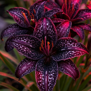 Лилейник Вояж купить по цене от 699р. в интернет-магазине «Посадика» с доставкой почтой в в Фроловое и по всей России – [изображение №1].